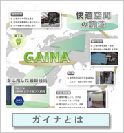 ガイナとは