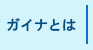 ガイナとは